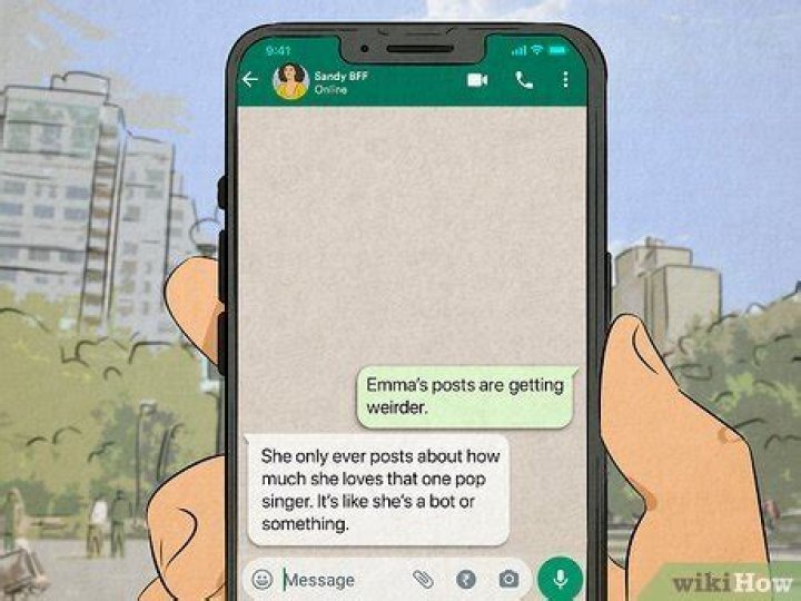 What does bot mean in real life?