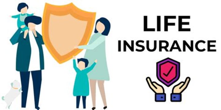 What does it mean if a life insurance policy is assigned?