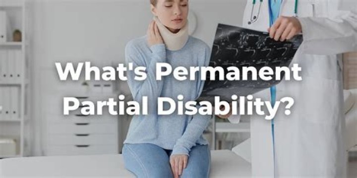 What does partial permanent disability mean?