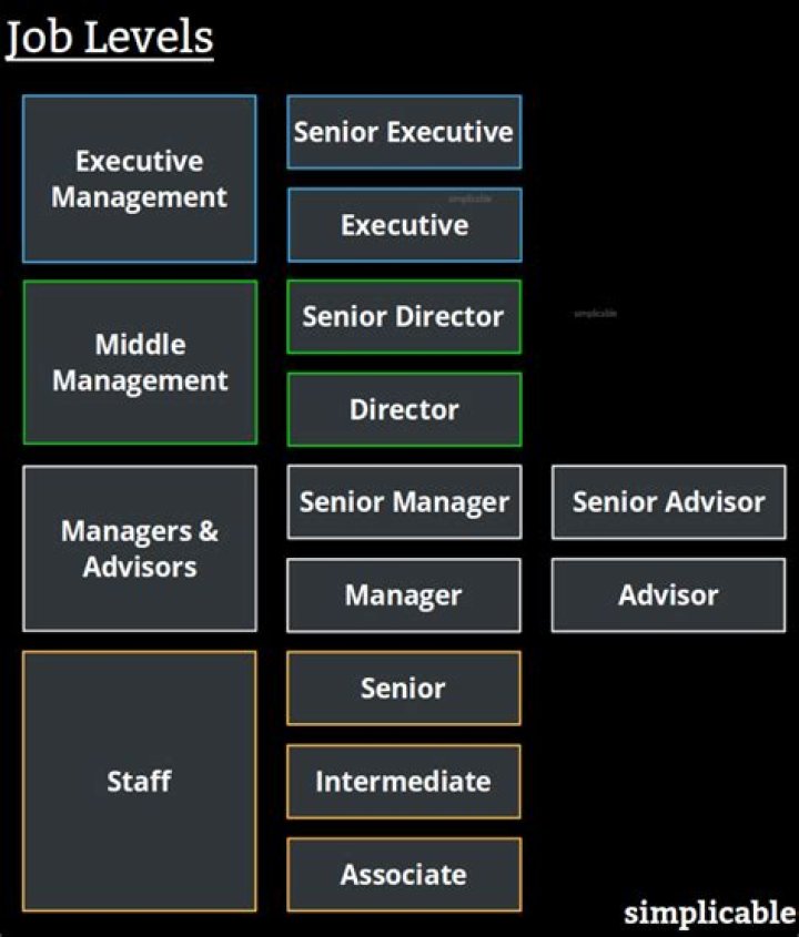 What does senior executive level mean?