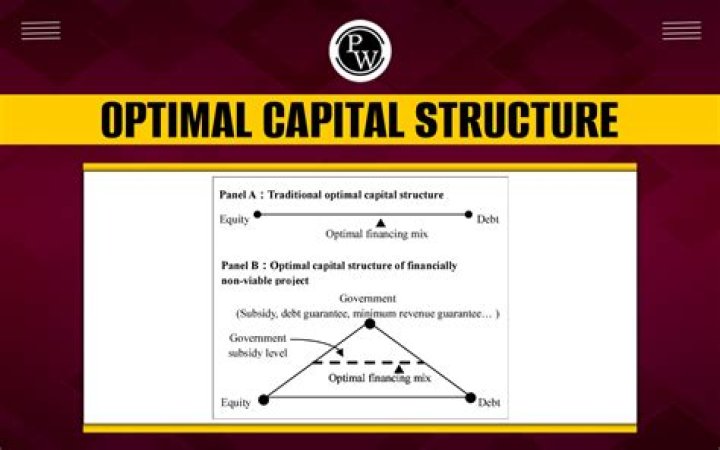 What does this imply about the optimal capital structure?