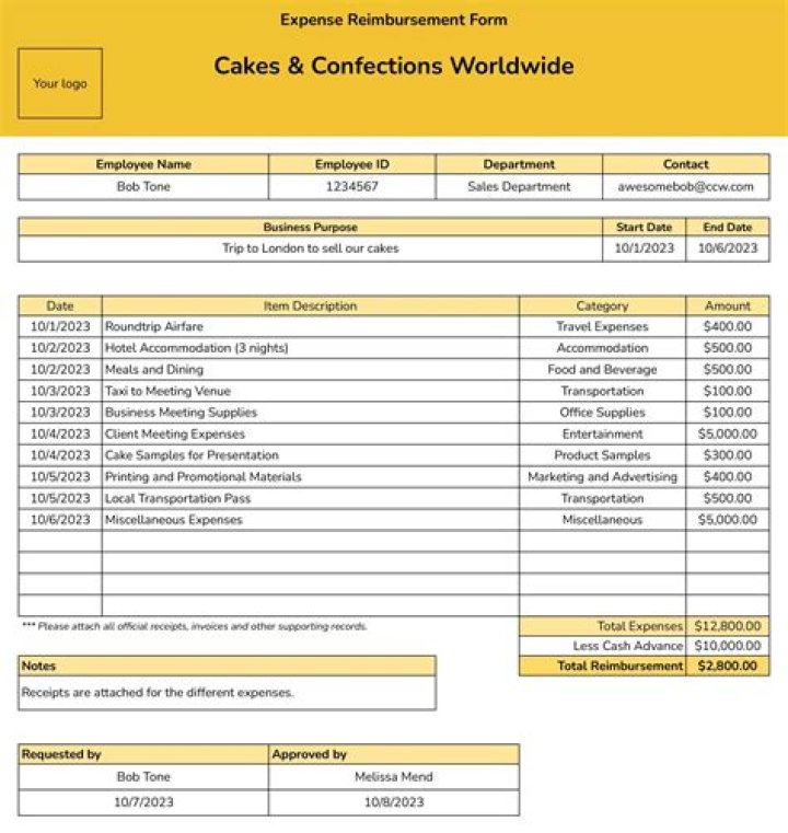 What expenses can foster carers claim?