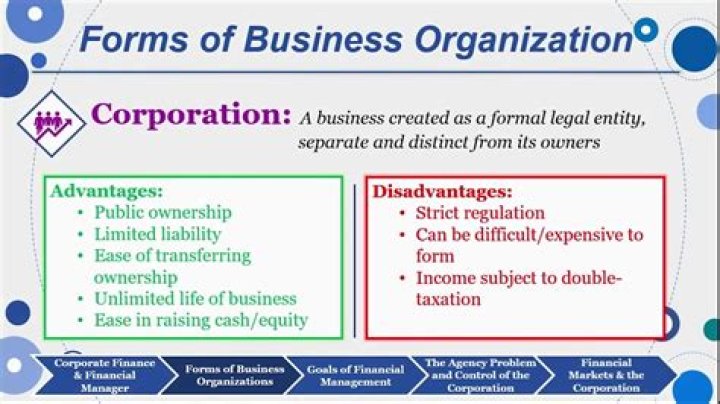 What form of business organization is the best for a start up business?
