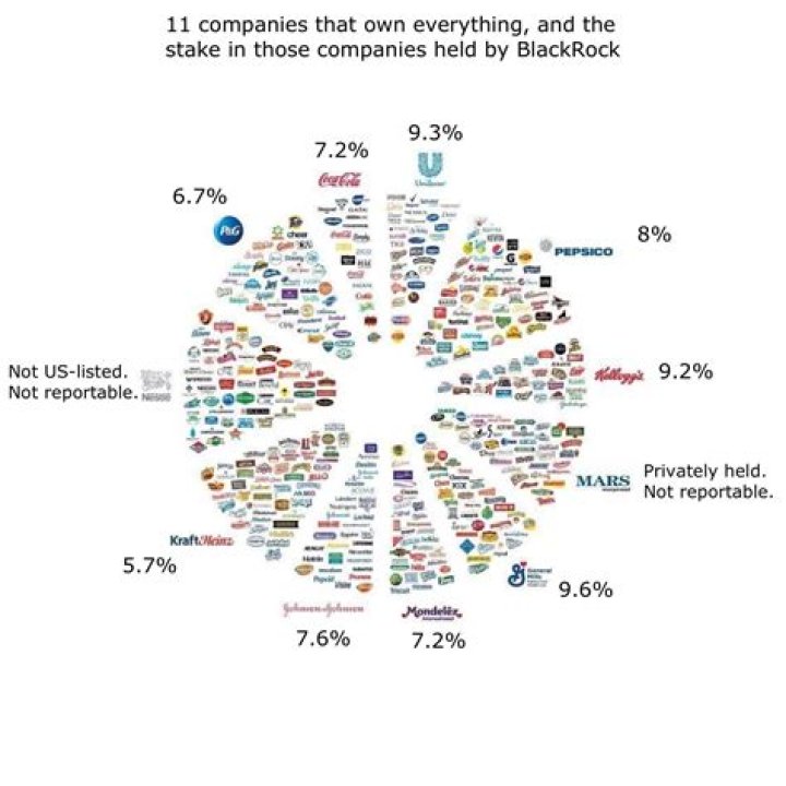 What happens if you own 51% of a company?