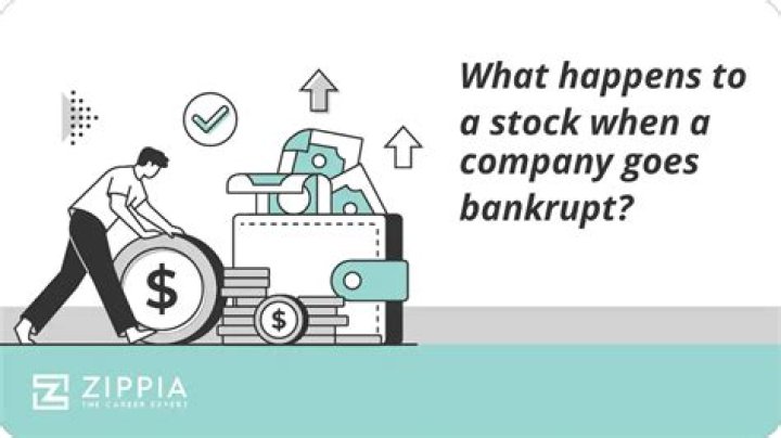 What happens if you own stocks in a company that goes bankrupt?