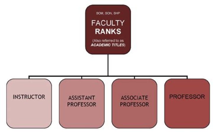 What is a faculty member in university?