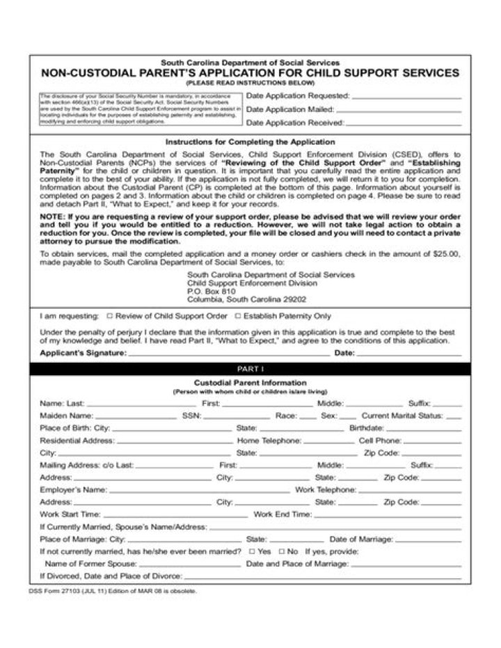 What is a non-custodial parent form?