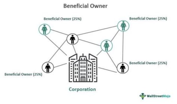 What is a part owner of a company?