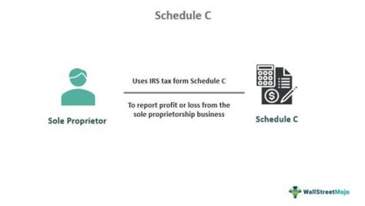 What is a Schedule C sole proprietorship?