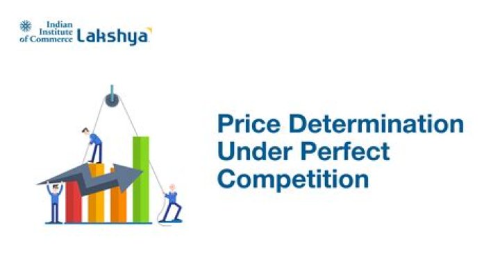 What is a single firm is under perfect competition?