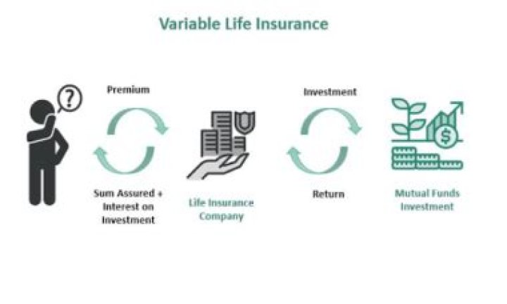 What is a single premium variable life policy?