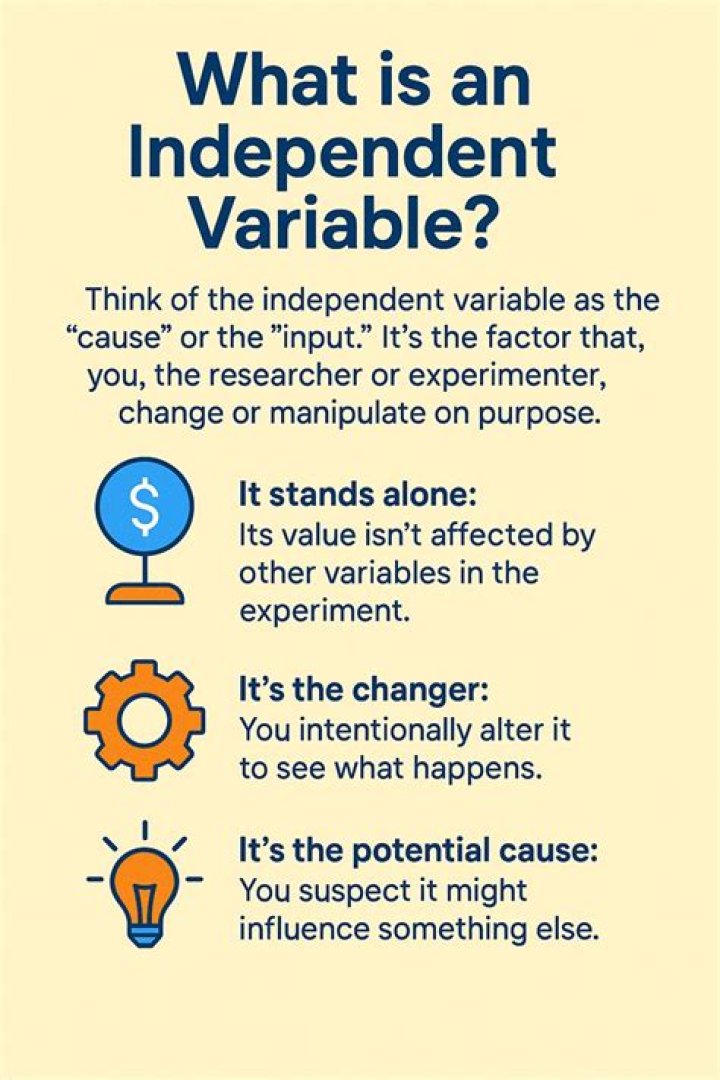 What is an independent marketing consultant?
