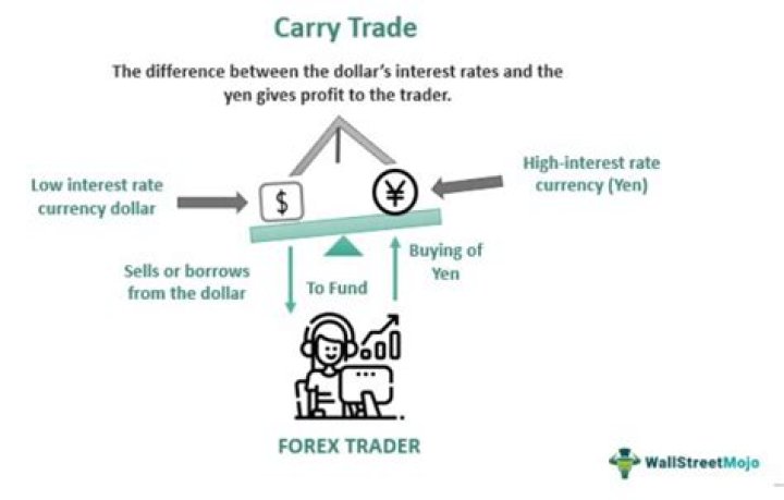 What is carry on an investment?