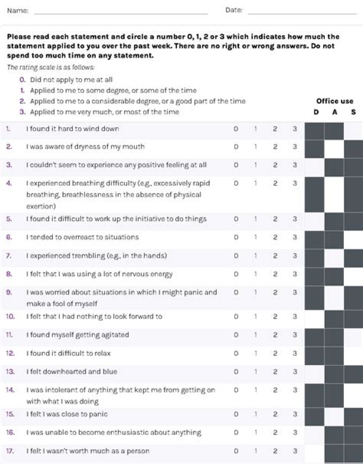 What is Dass 21 questionnaire?