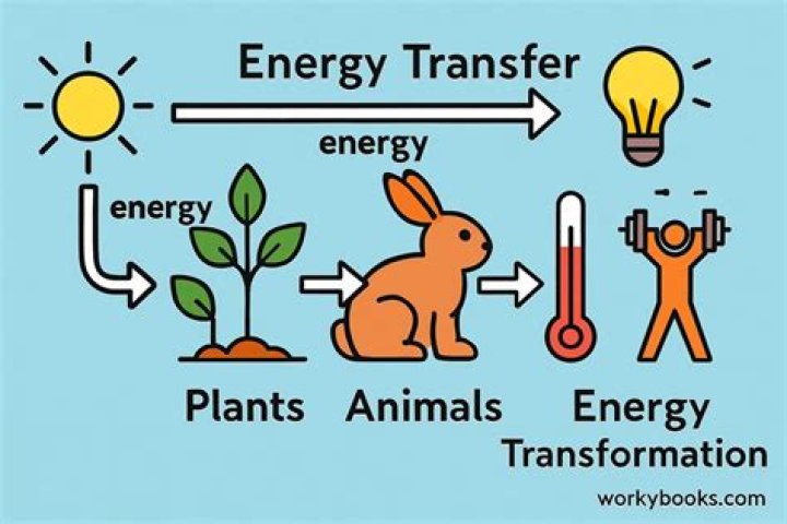 What is Energy Transfer LP K 1?