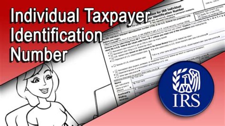 What is individual tax payer number?
