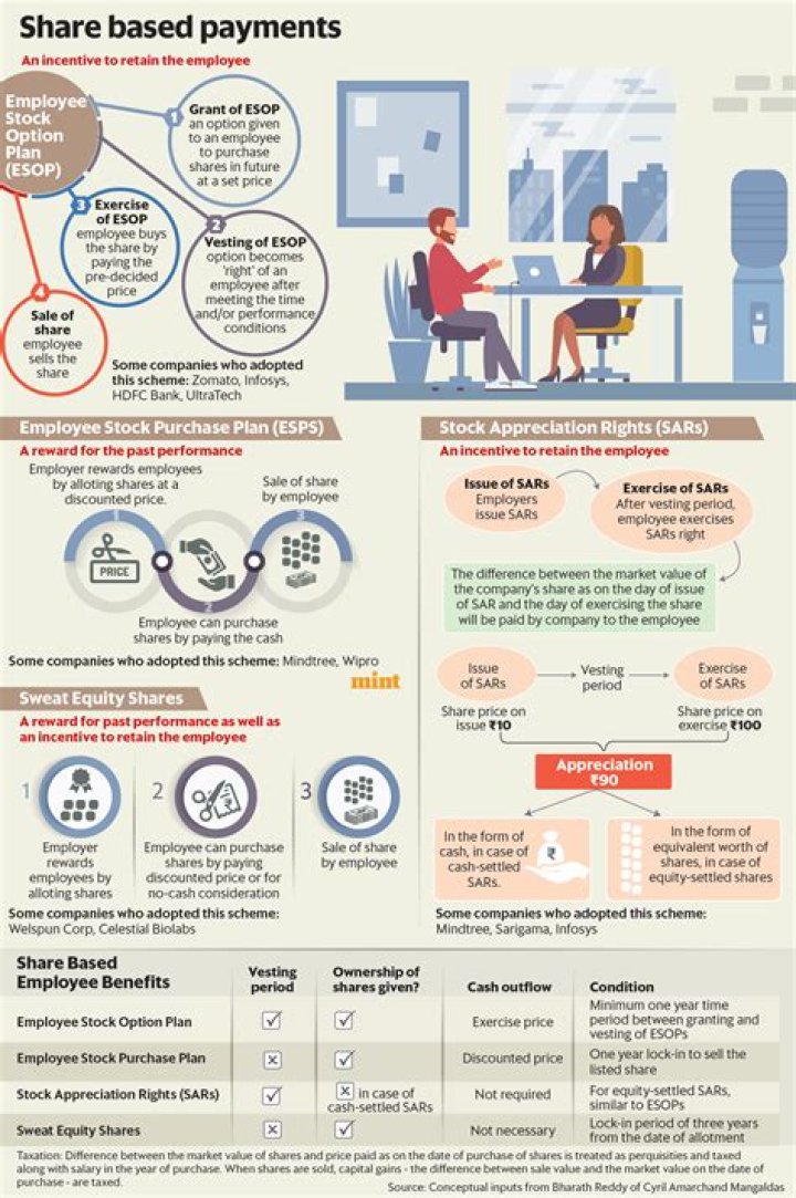 What is it called when a company gives money back to its investors?