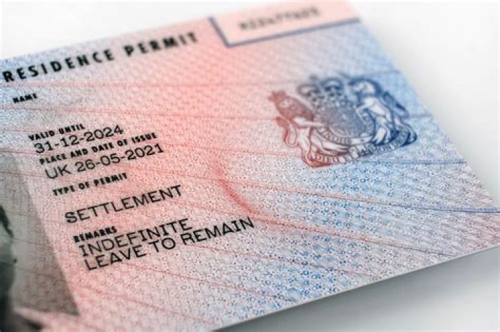 What is limited leave to remain in the UK?