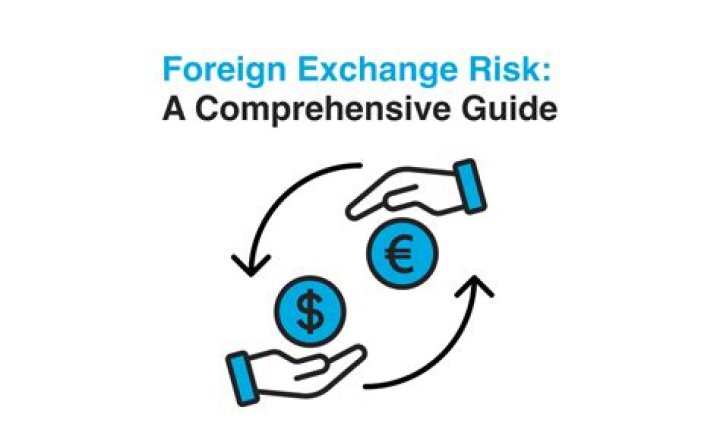 What is meant by foreign exchange risk?