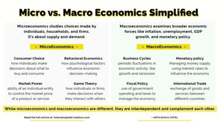 What is micro and macro economics with example?