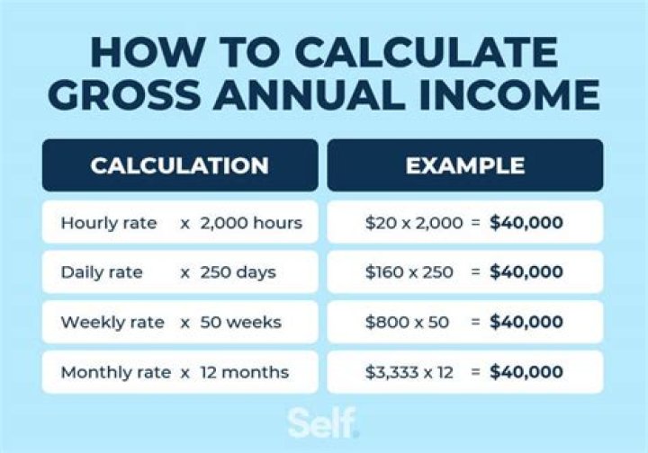 What is my current individual annual income?