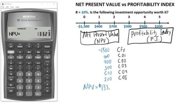 What is net present value and profitability index?