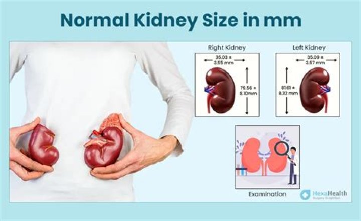 What is normal kidney function for a 70 year old woman?