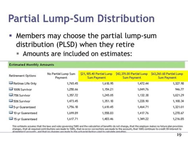 What is partial lump-sum option?