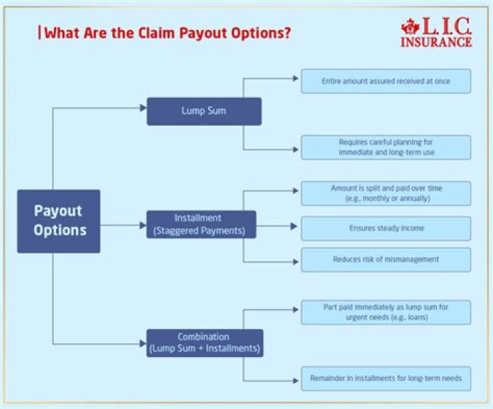 What is payout option in term insurance?