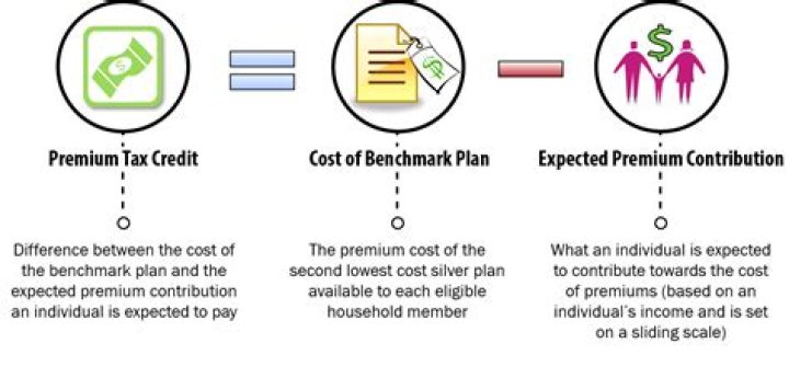 What is Premium tax credits on their tax return for past years?