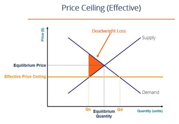What is price ceiling in economics with example?