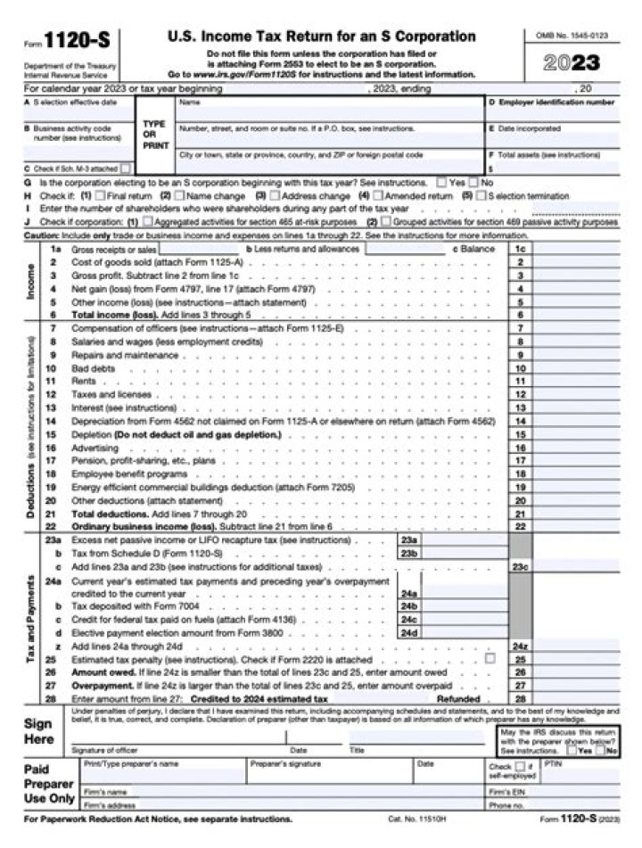 What is schedule l for Form 1120-S?