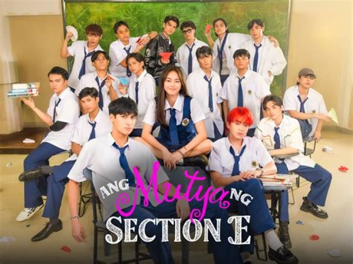 What is Section 1377 a 2 election?