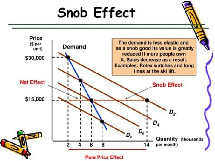 What is snob effect in economics?