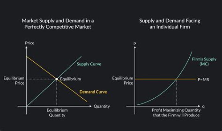 What is the demand curve of a perfectly competitive firm?