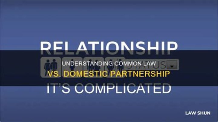 What is the difference between common law and domestic partner?