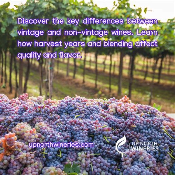 What is the difference between vintage wine and non-vintage wine?