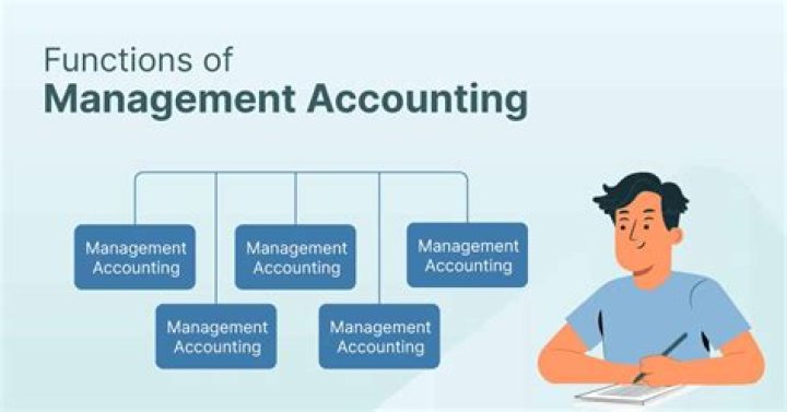What is the function of managerial accountant?