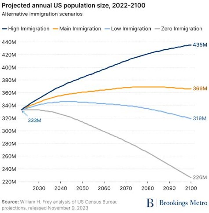 What is the immigration status for OPT?