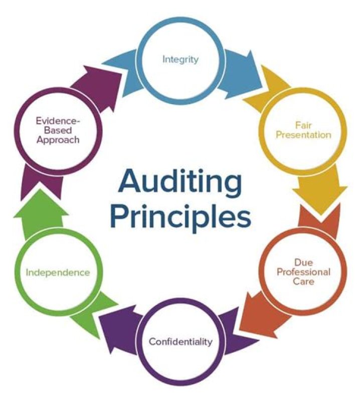 What is the importance of government auditing?