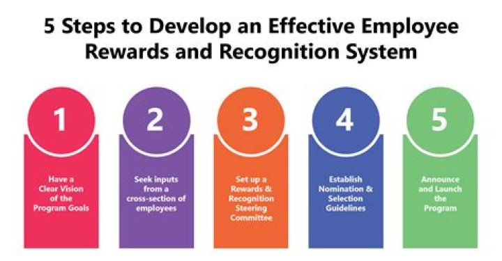 What is the importance of reward system in an organization how it affect the performance of the employee?