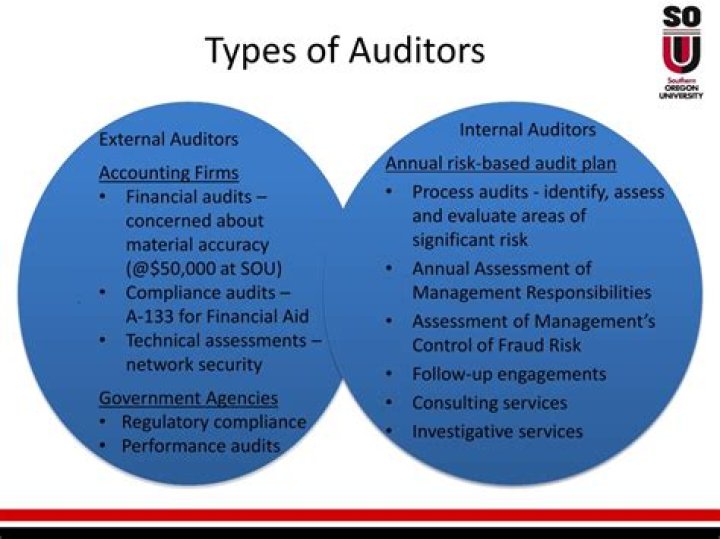 What is the Institute of Internal Auditors definition of internal auditing?