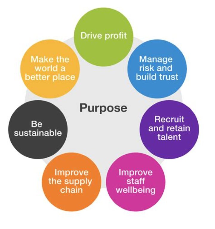 What is the purpose of a LLC business?