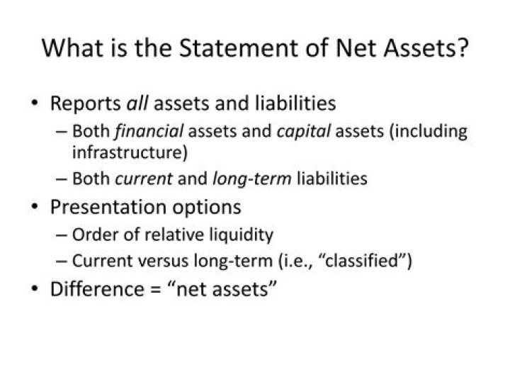 What is the statement of net assets?