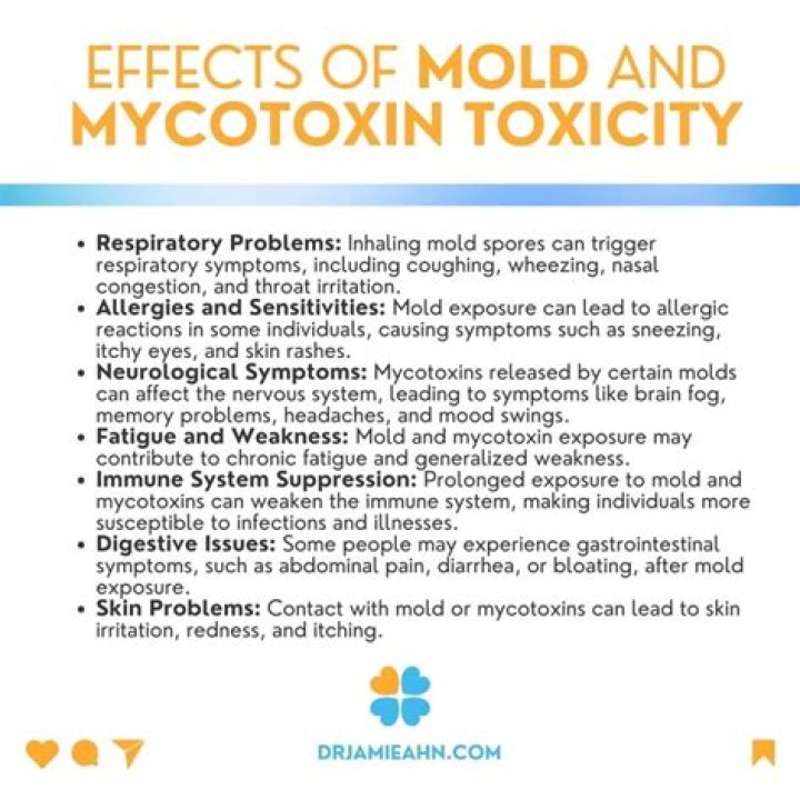 What kind of doctor do you see for mold toxicity?