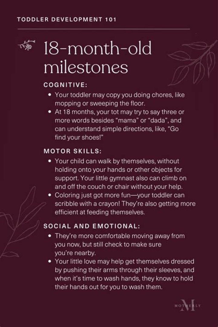 What should a 13 month old be doing developmentally?