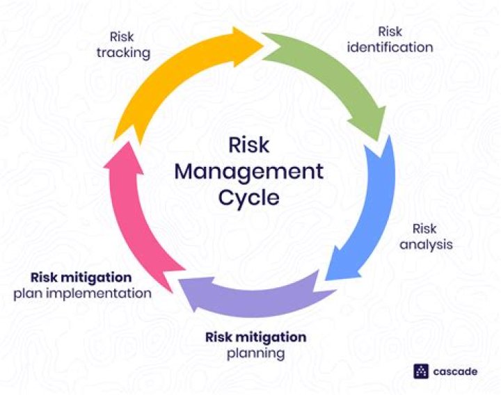 What should a risk management offer?