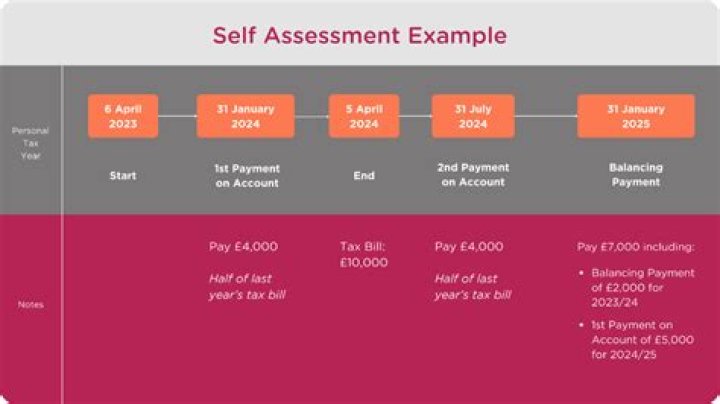 What was the last self assessment tax year?