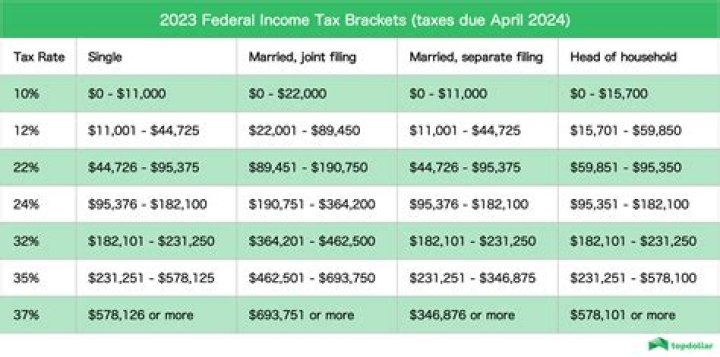 What was the main purpose of the federal income tax?