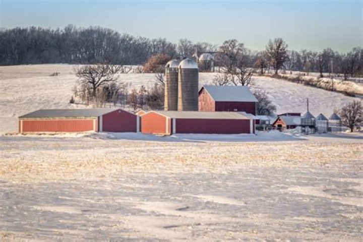 What year did farm prices start to improve?